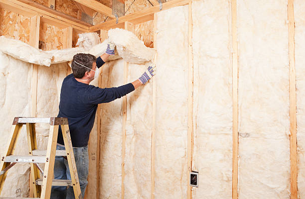 Best Insulation Air Sealing in USA